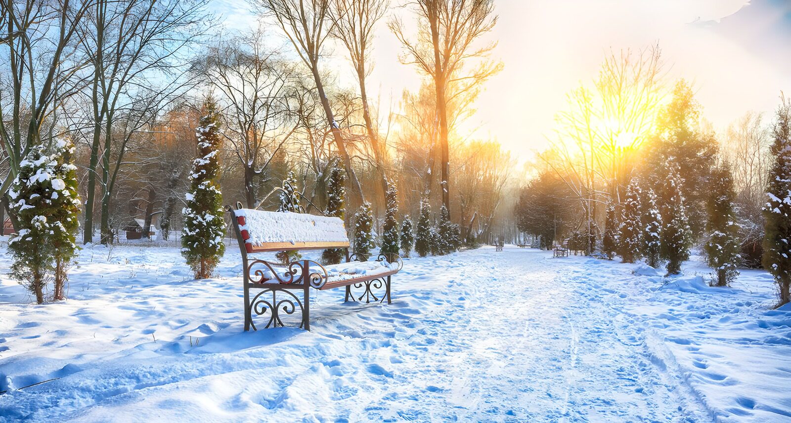 Sneeuwlandschap in de winterzon