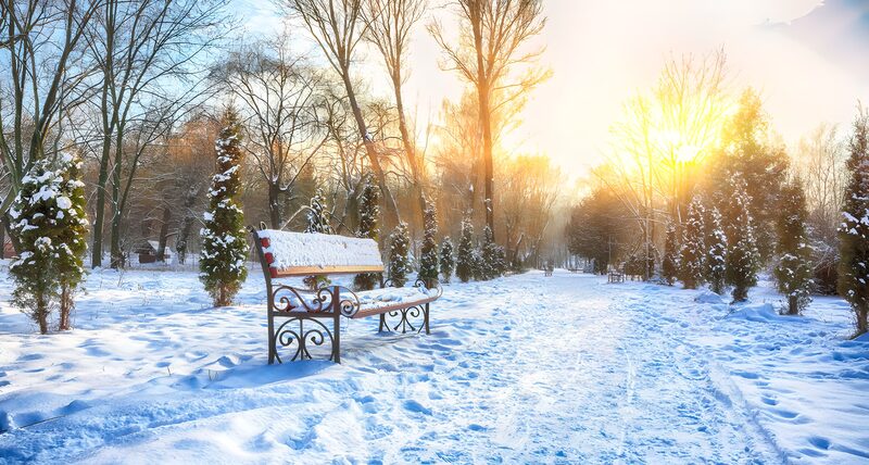 Sneeuwlandschap in de winterzon