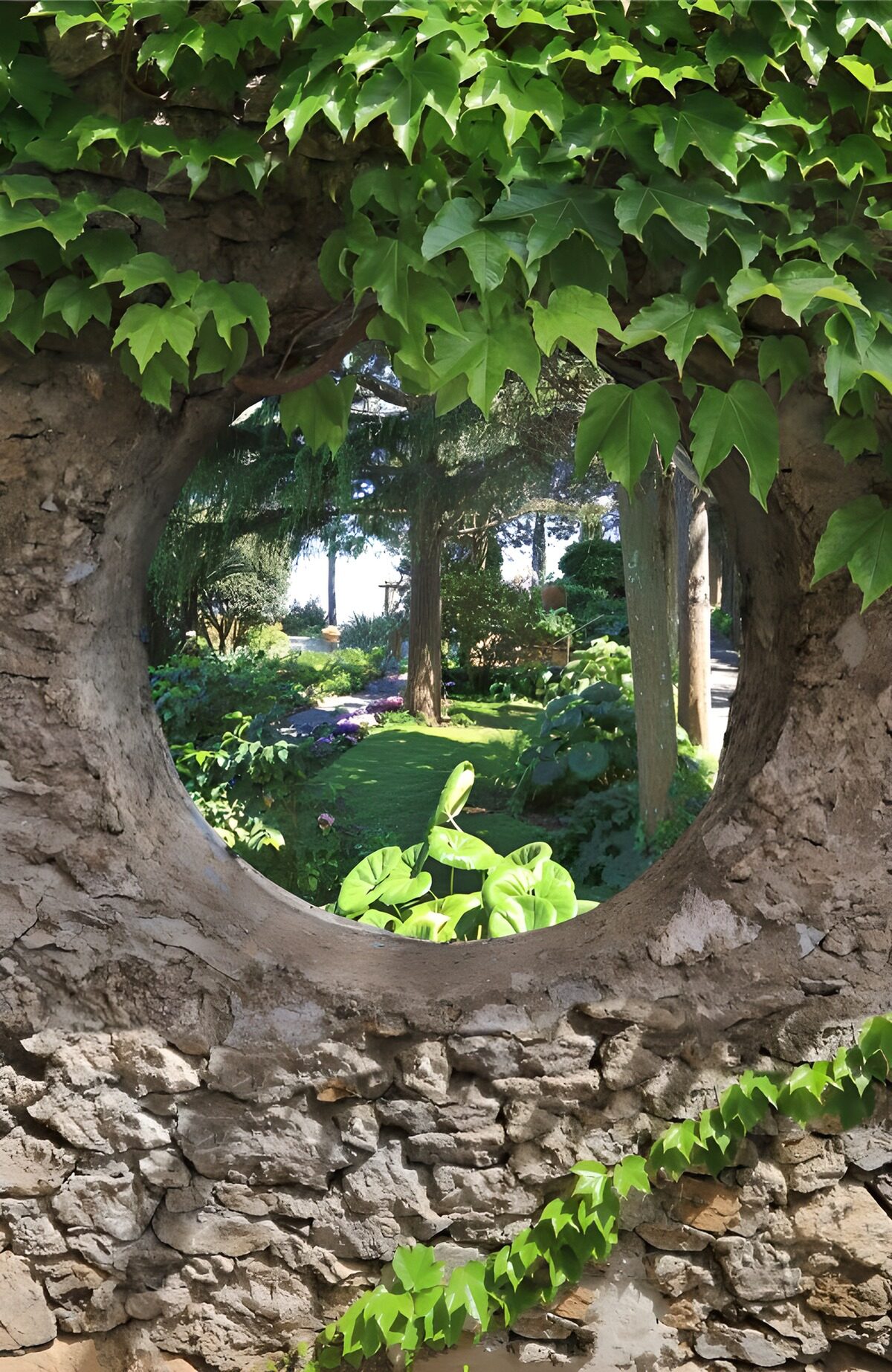 Groene doorkijk in de tuin