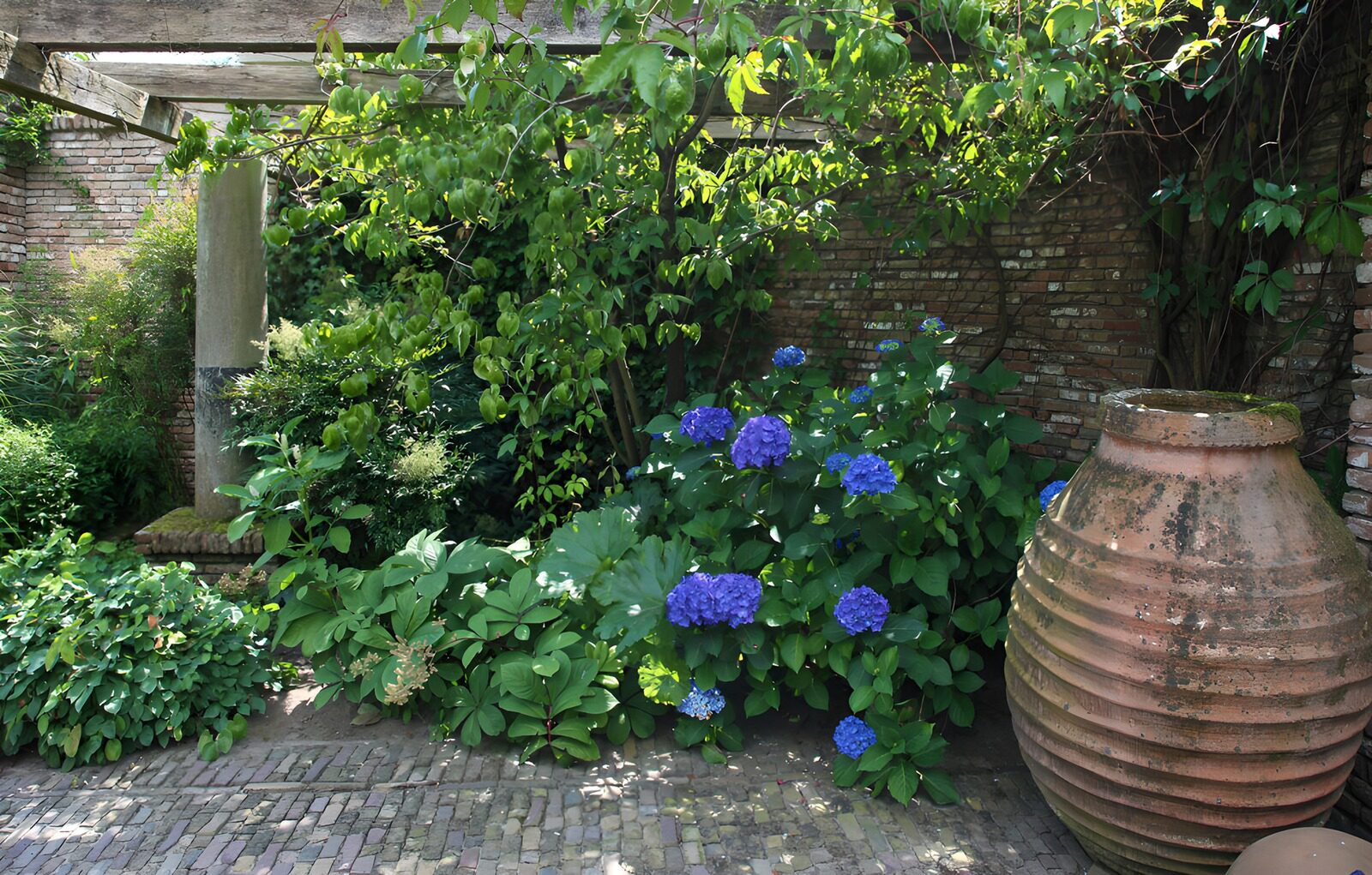 Groene oase met blauwe hortensia's