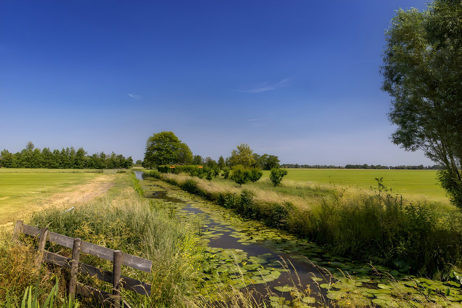 Rustige Nederlandse Landschap bij Het Water