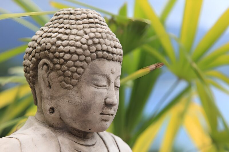 Meditatiebeeld in een groene omgeving
