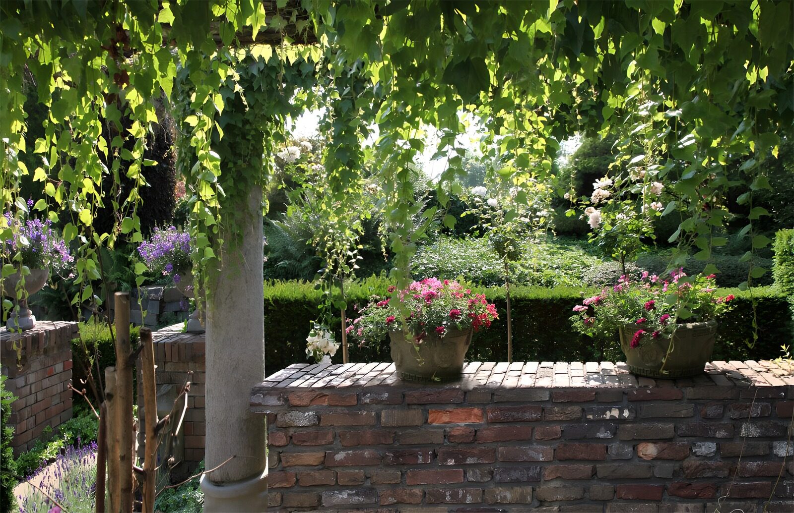 Zomerse tuin met bloeiende planten