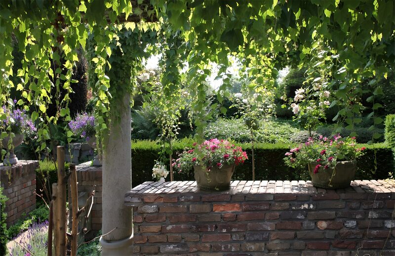 Zomerse tuin met bloeiende planten