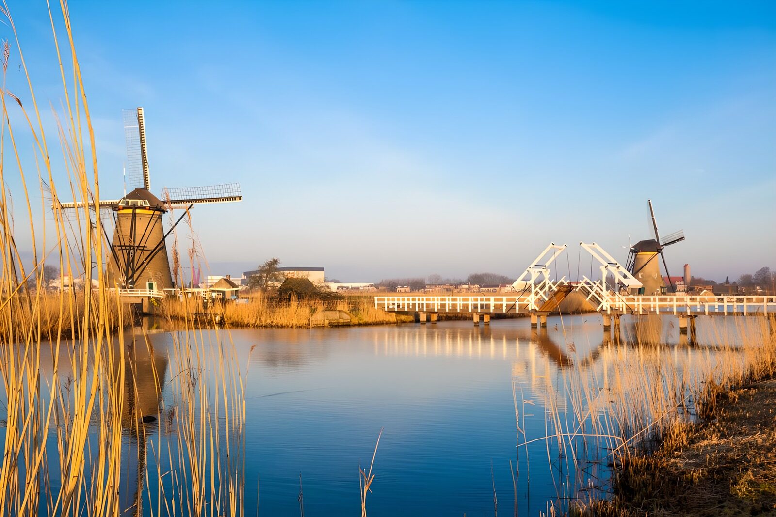 Betoverend uitzicht op Nederlandse molens