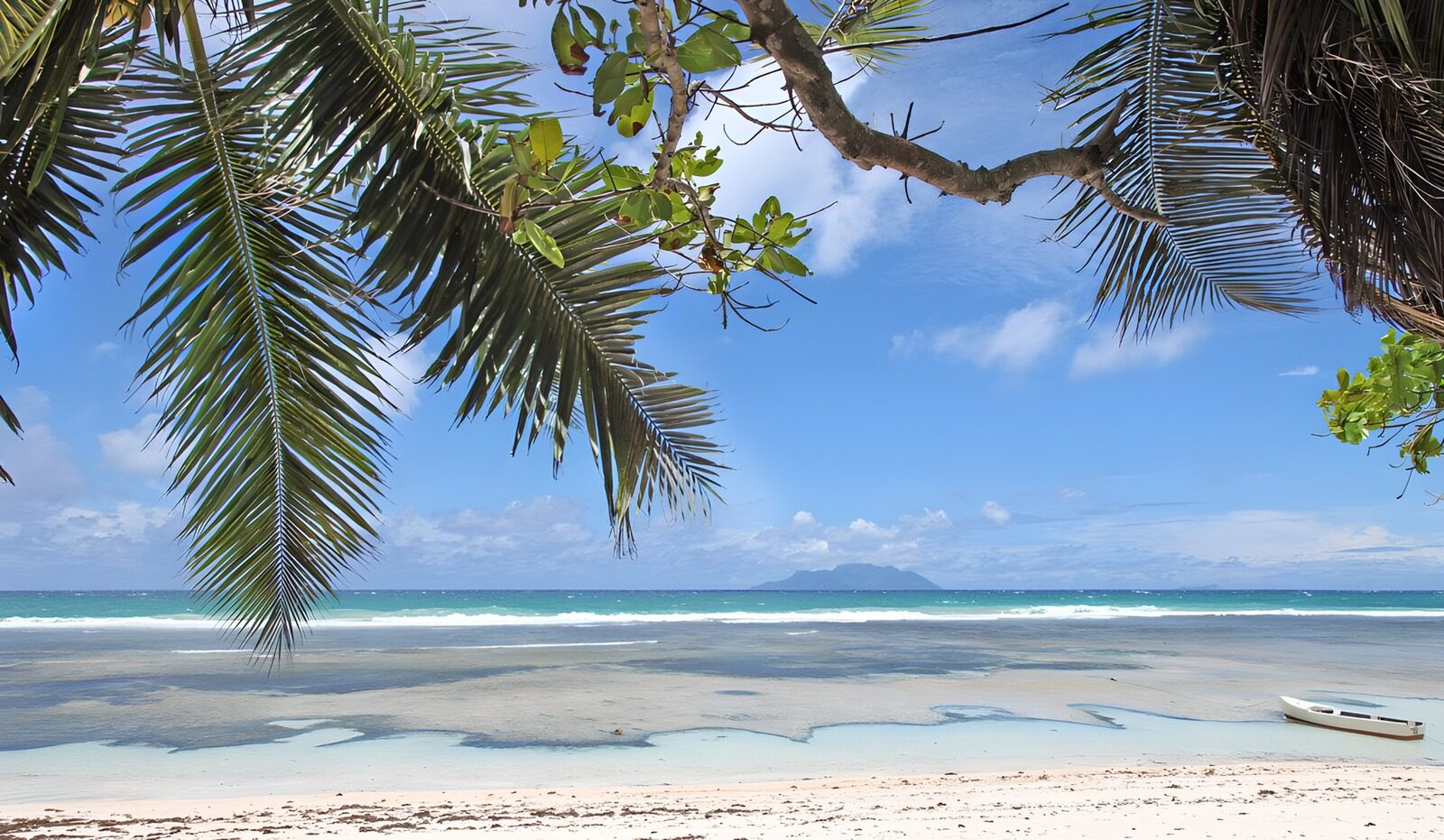 Tropisch Strand met Palmbomen