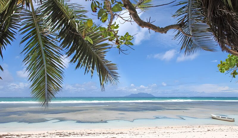 Tropisch Strand met Palmbomen