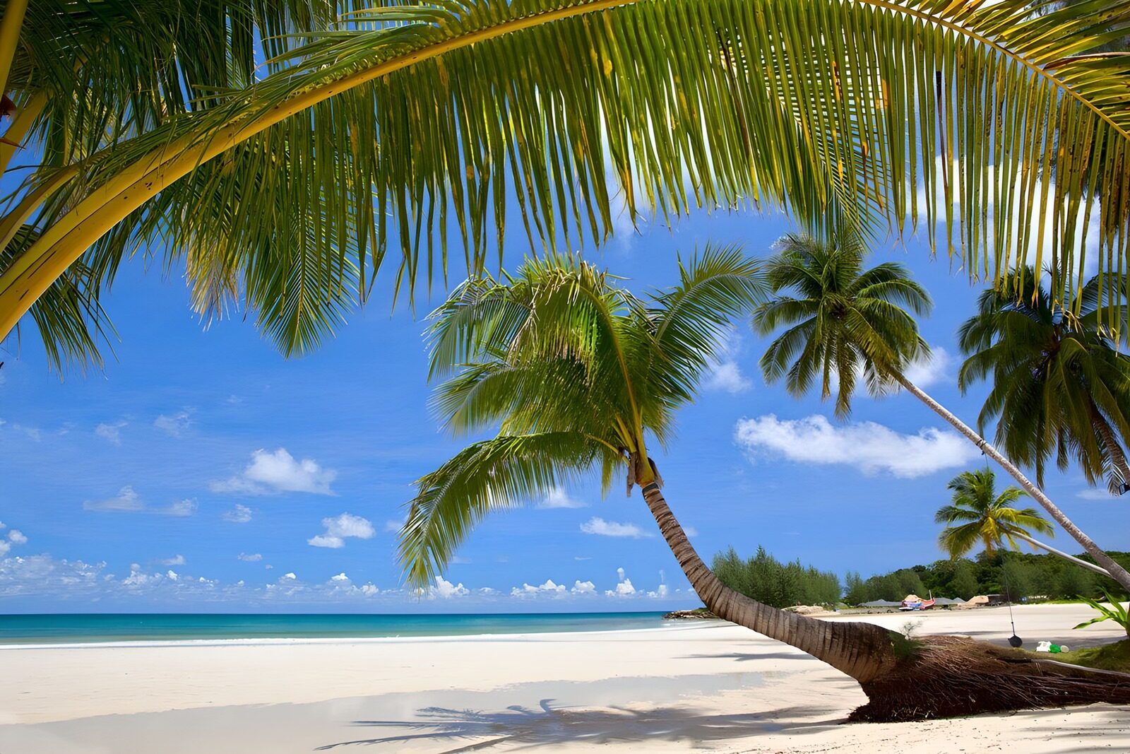 Tropisch strand met palmbomen