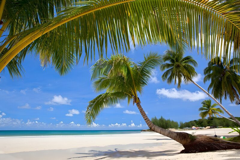 Tropisch strand met palmbomen