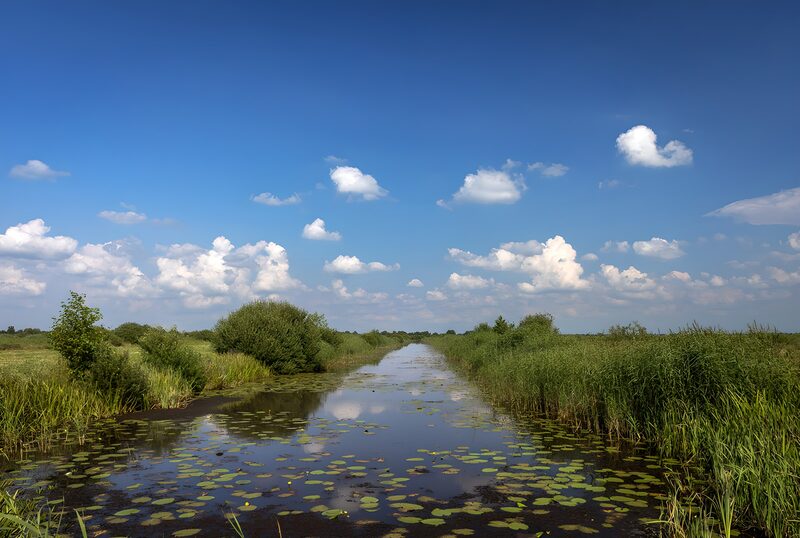 Rustgevende moeraslandschap onder blauwe lucht