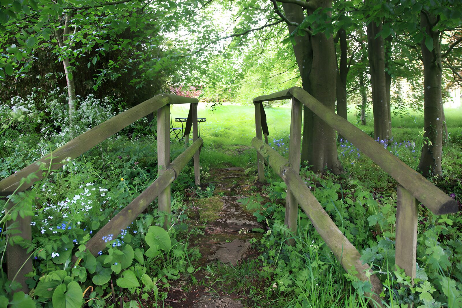 Rustgevende voetgangersbrug in de natuur
