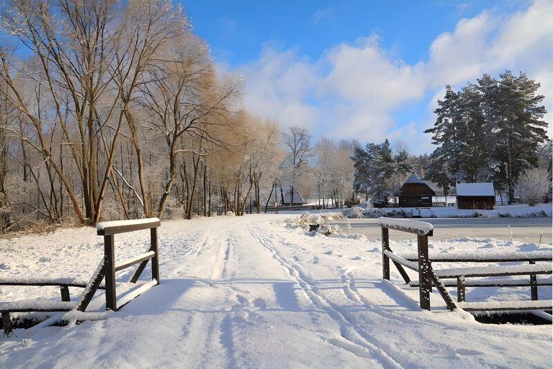 Sneeuwwonderland bij de vijver
