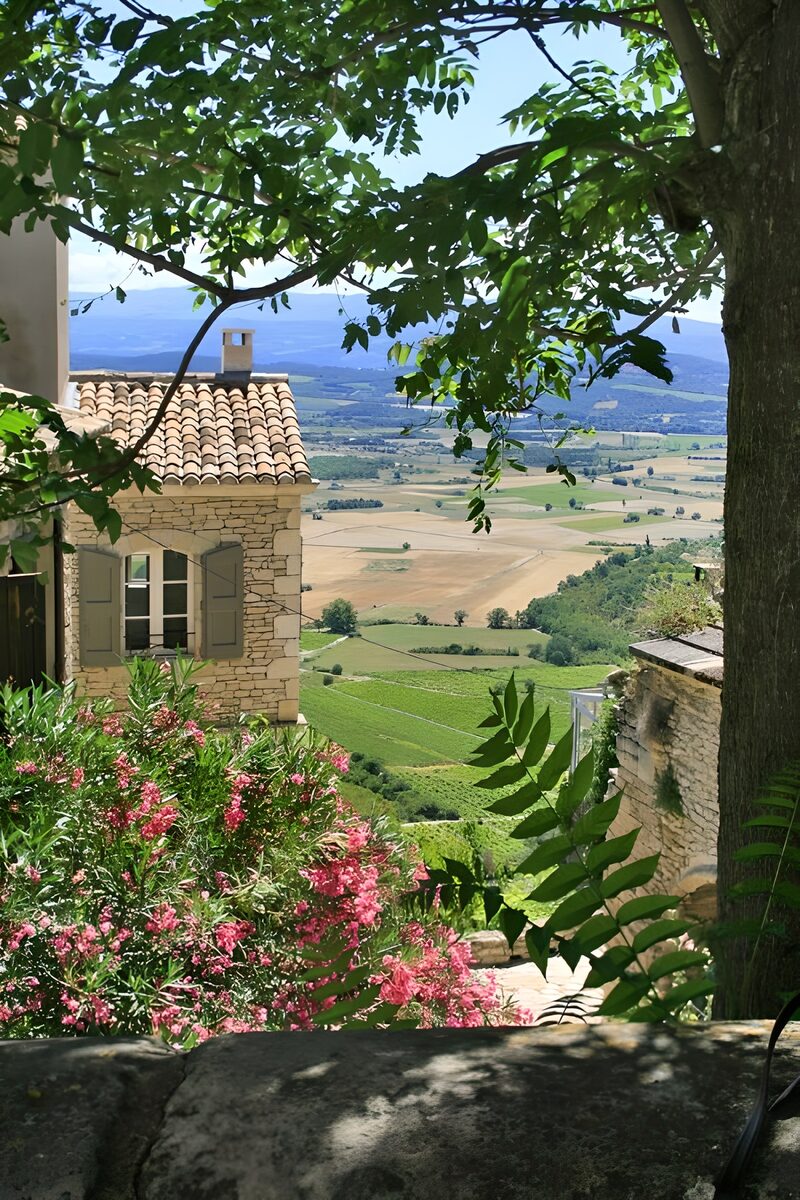 Toscaans uitzicht over de schitterende wijngaarden
