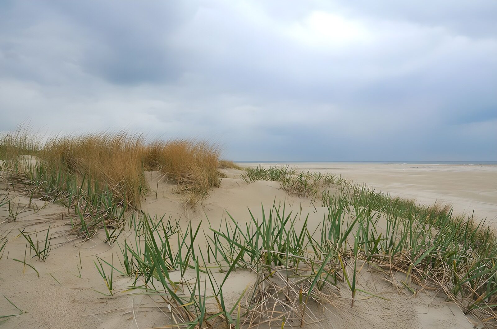 Rustig strandlandschap onder grijze lucht