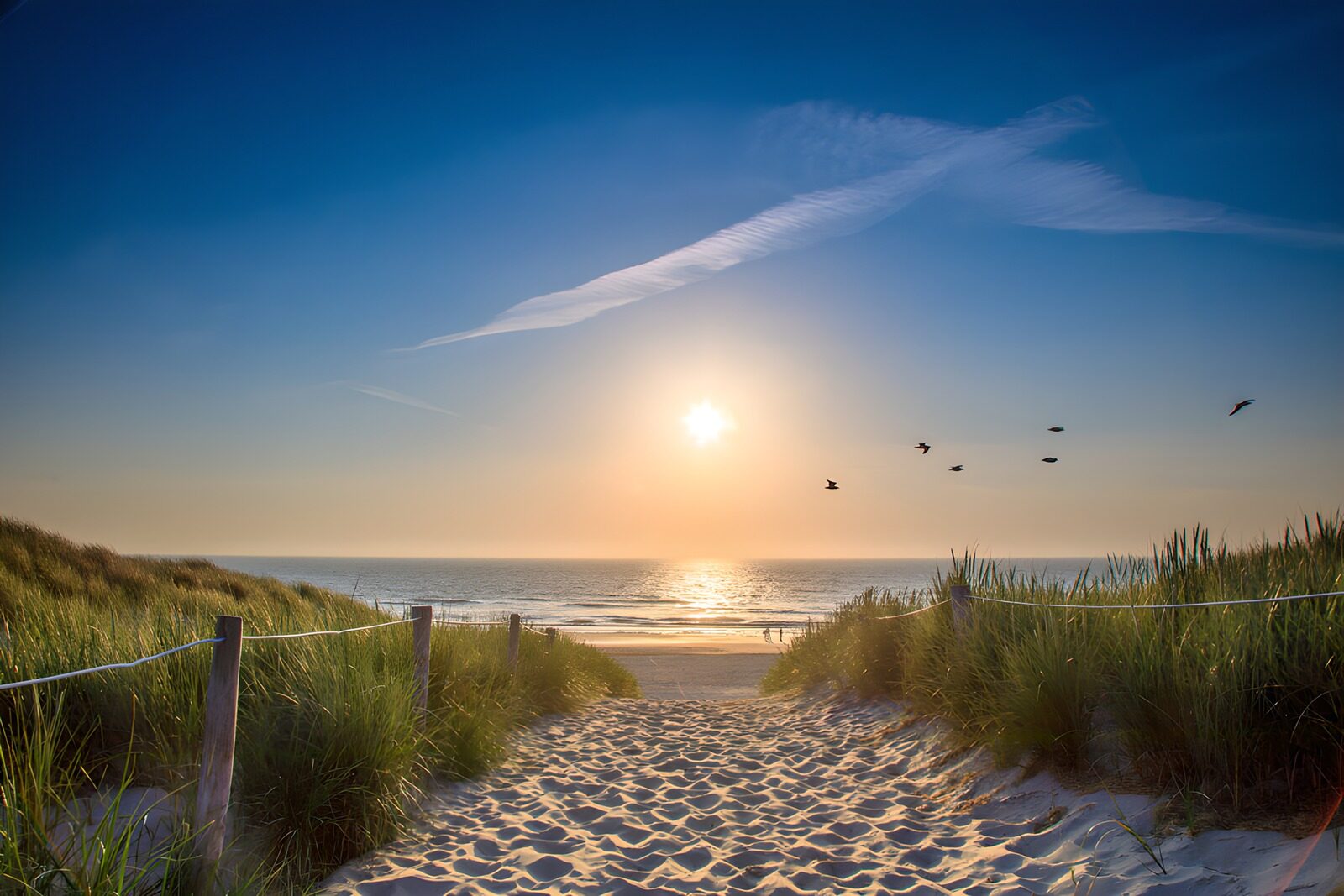 Zonsopkomst bij het strand