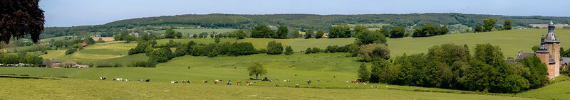 Groene Velden en Boerderijdieren