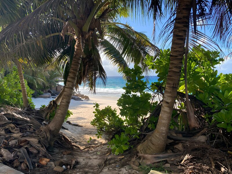 Paradijselijk Uitzicht op het Strand