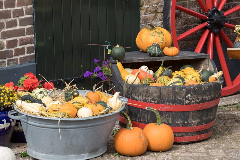 Herfstige decoratie met pompoenen en courgettes