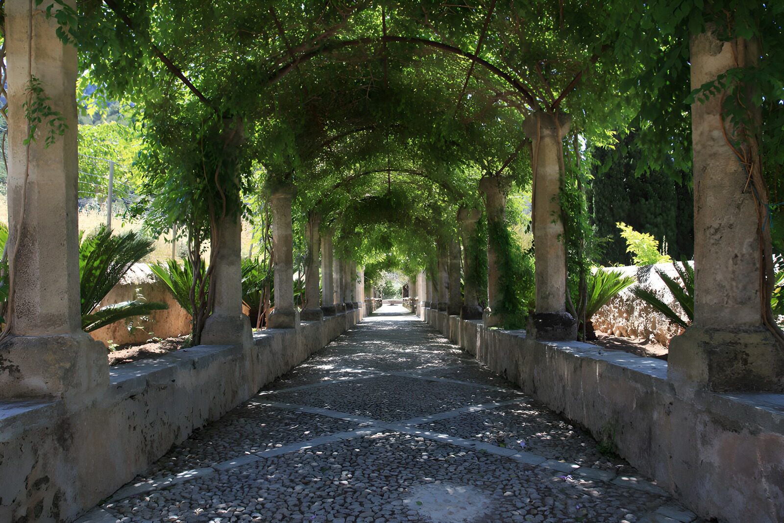 Groener pad onder de pergola