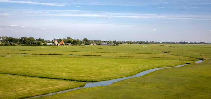 Rustig Landschap met Groene Velden