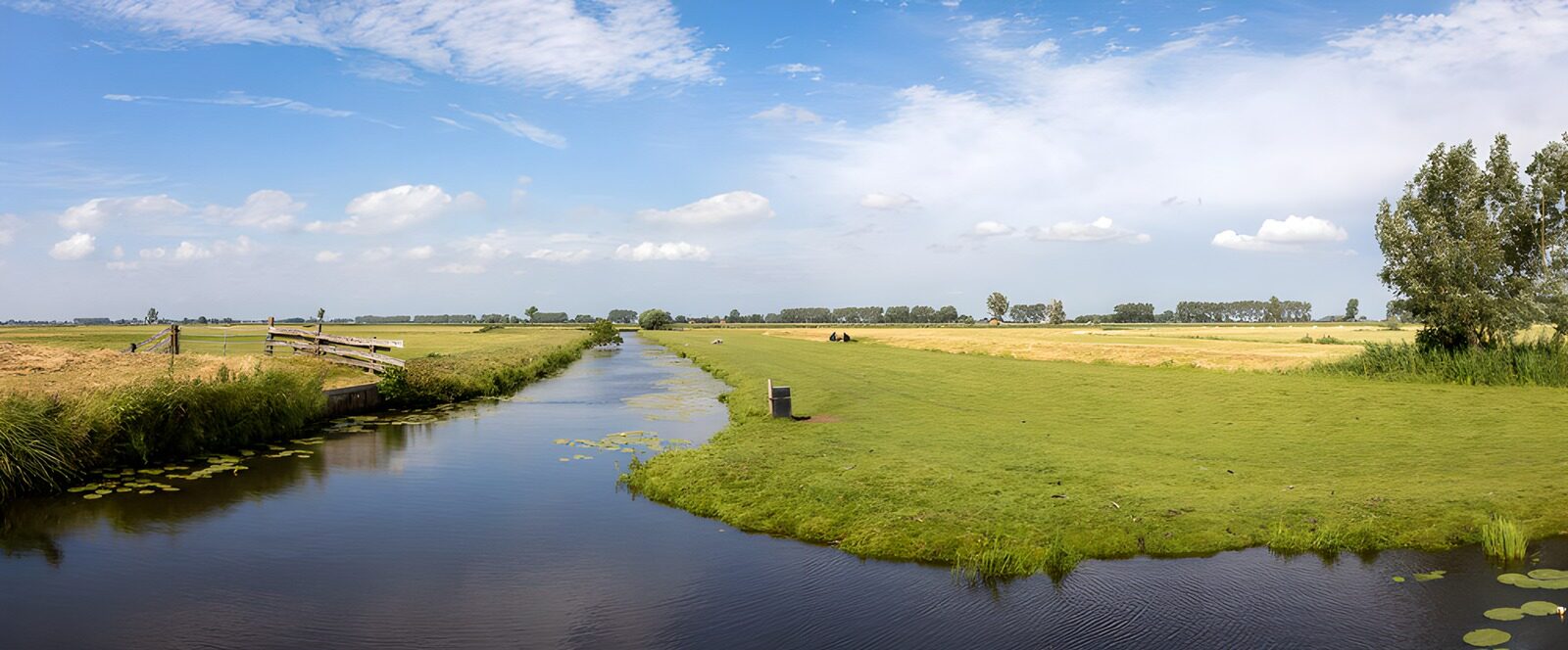 Prachtig uitzicht over het groene landschap