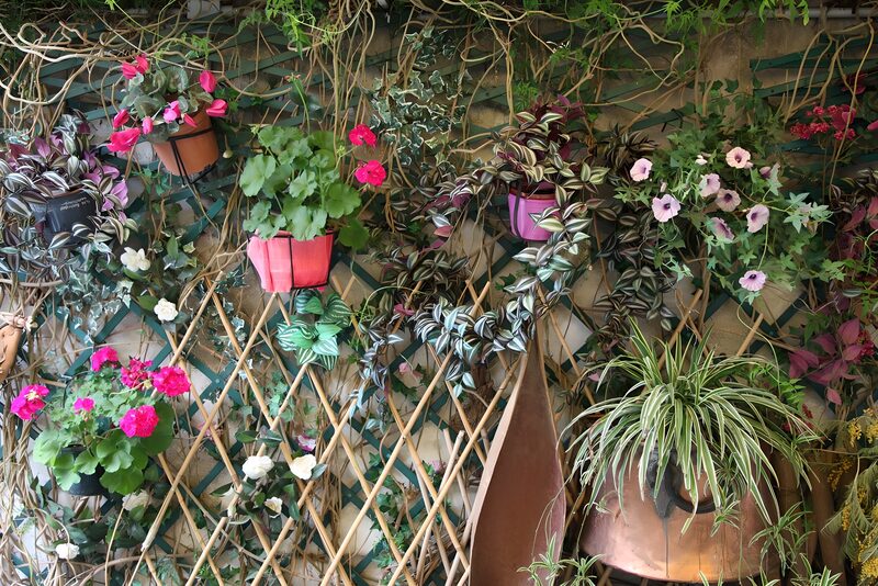 Kleurrijke Hangplanten Muur