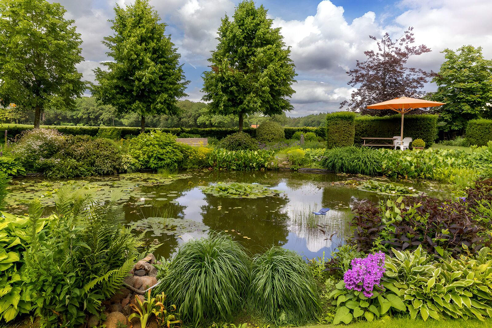 Rustige Tuin met Vijver en Zonnescherm