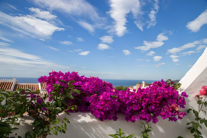 Kleurrijke bougainvillea met zeezicht
