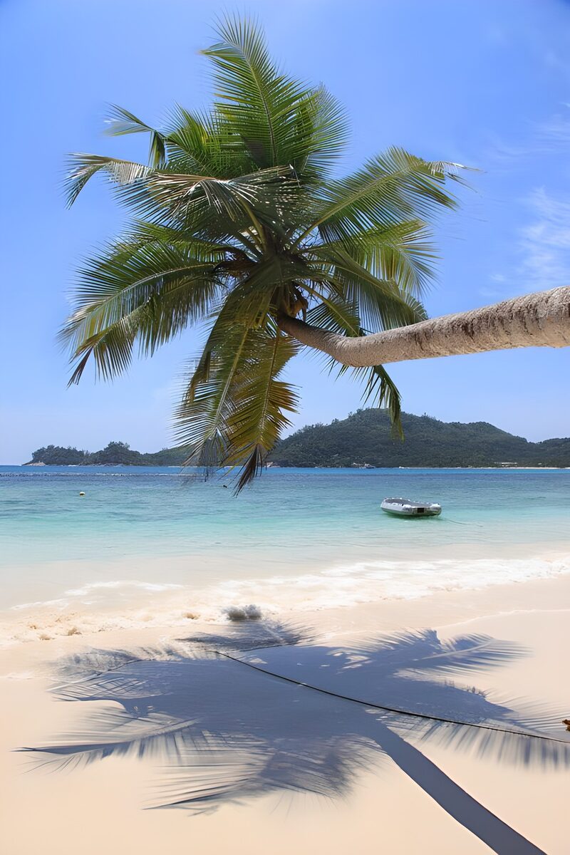 Tropisch paradijs met palmboom