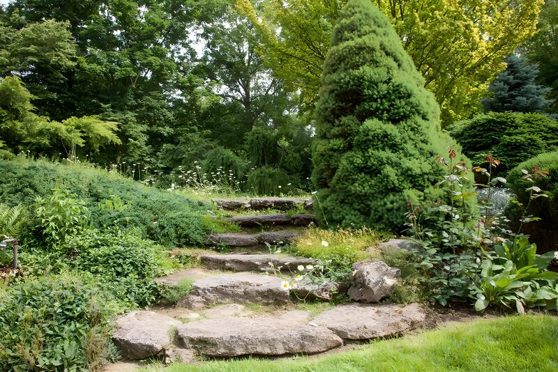 Natuurlijke trap in weelderige tuin