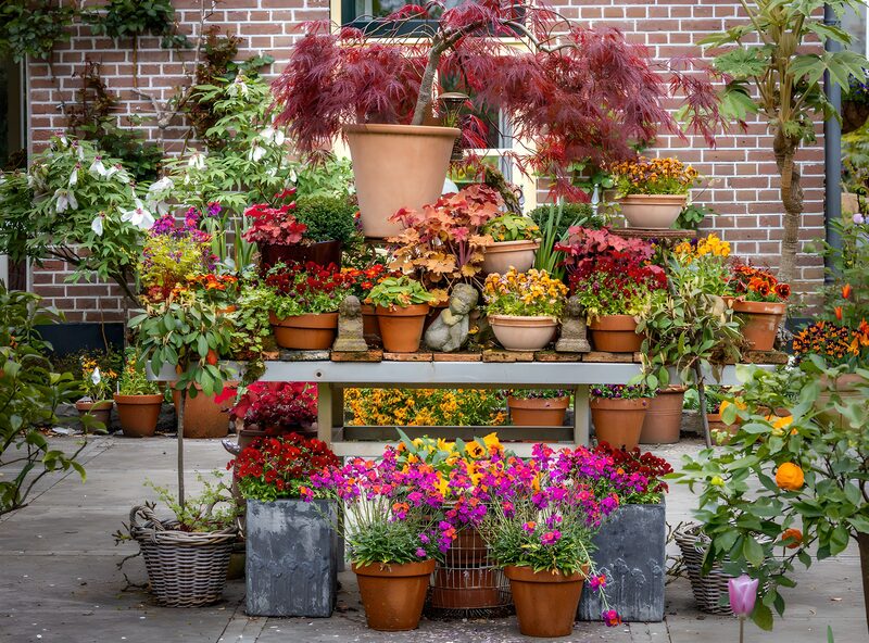 Bloemenstand met Beelden