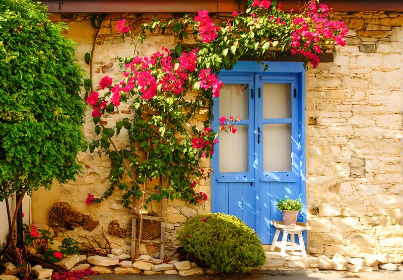 Oude muur begroeid met Bougainville