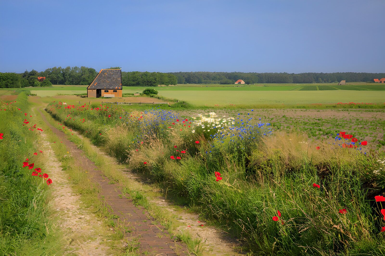 Rustig landschap met bloemen en huisje