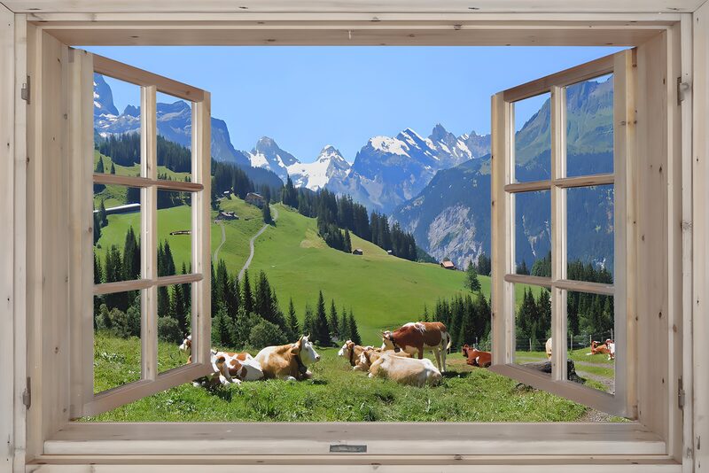 Uitzicht op een Alpenweide