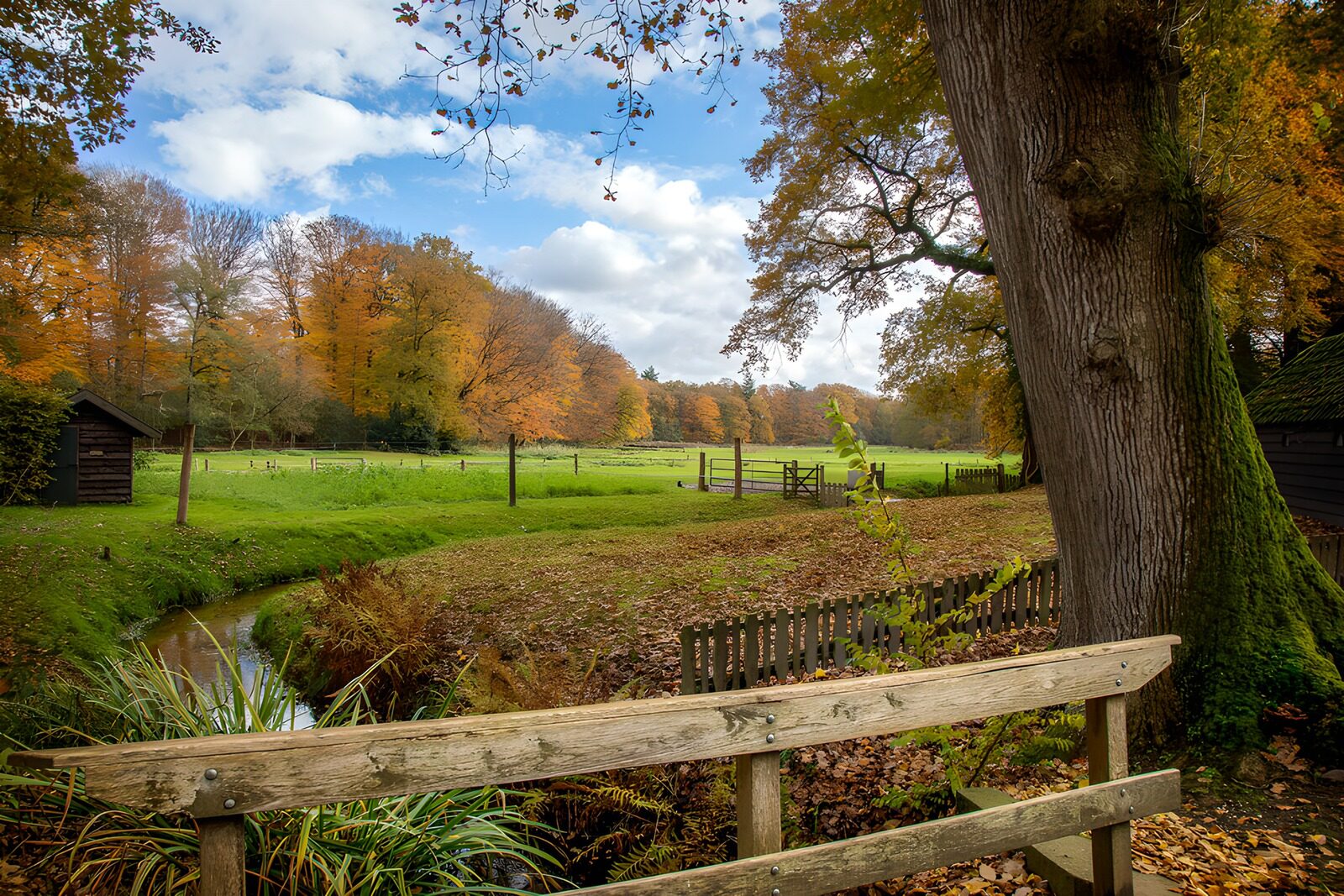 Herfstlandschap bij de beek