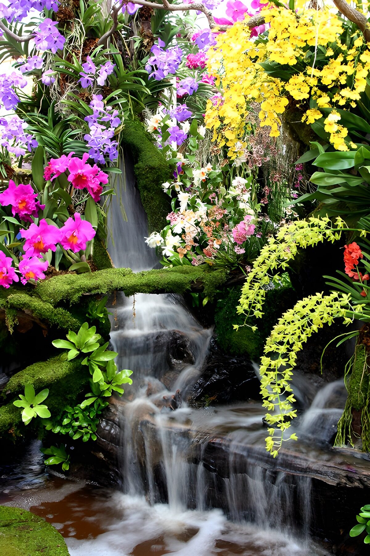 Waterval omringd door kleurrijke bloemen
