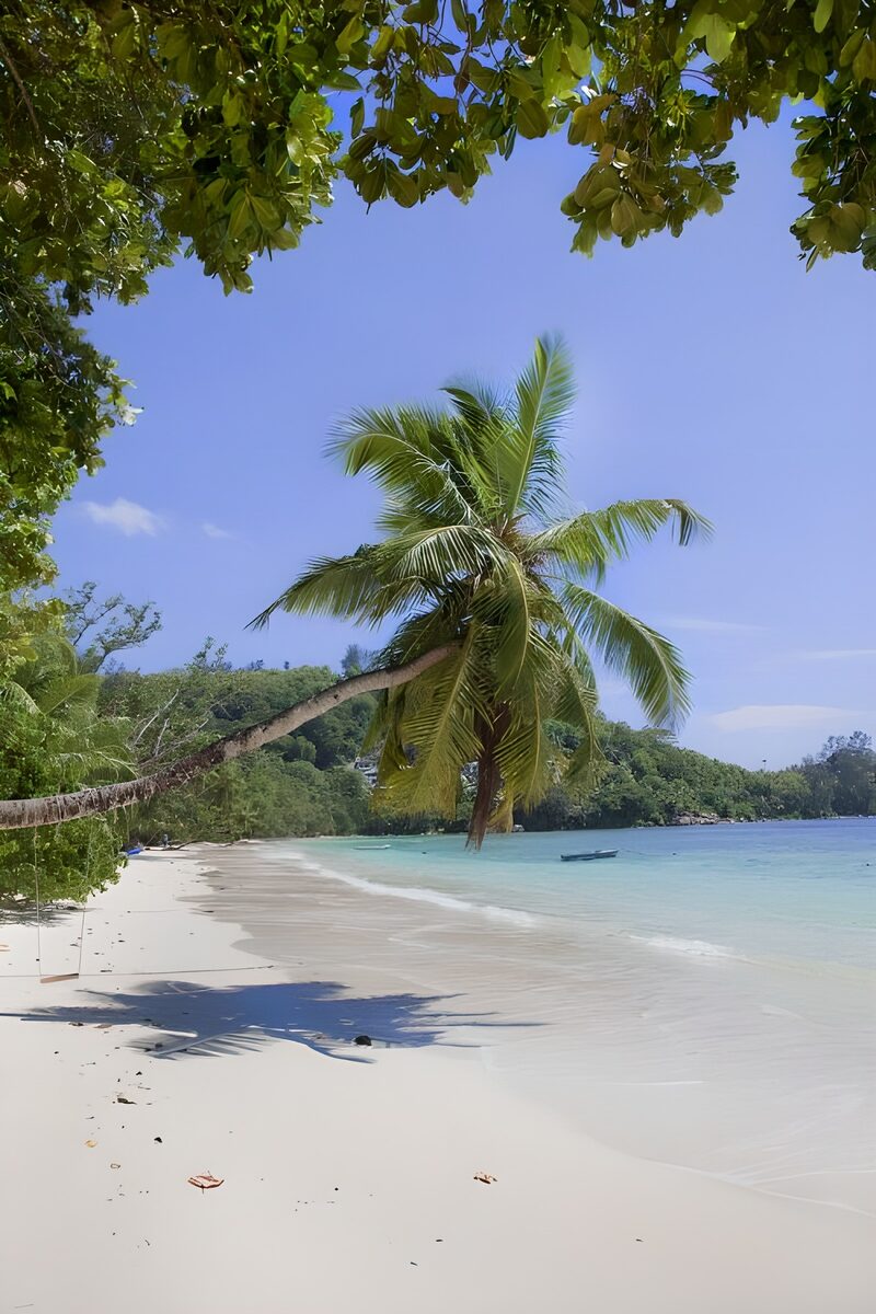 Tropisch strand met palmbomen
