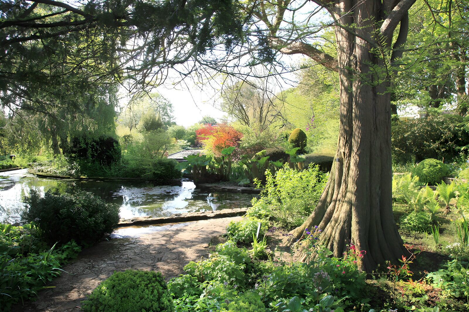 Rustgevende tuin met vijver en bomen
