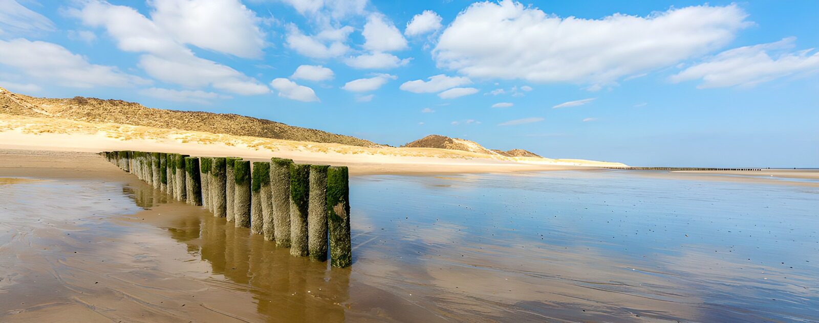 Stranden en palen langs de kust