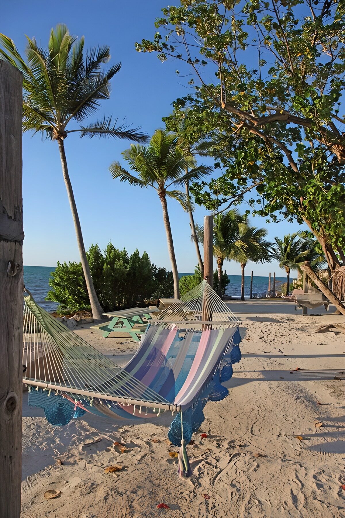 Hemels strand met hangmat en palmbomen