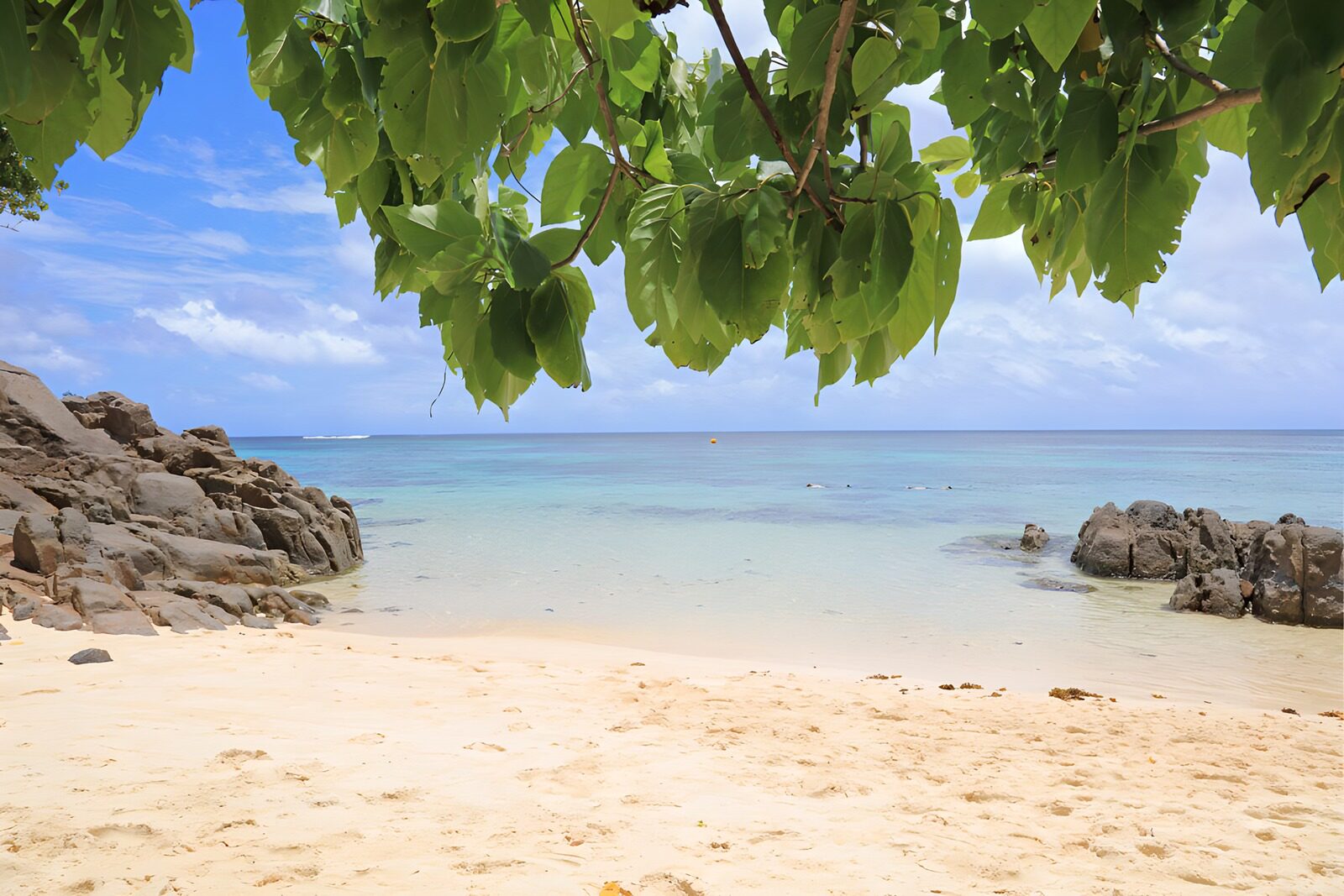 Paradijselijk Strand met Blauwe Zee
