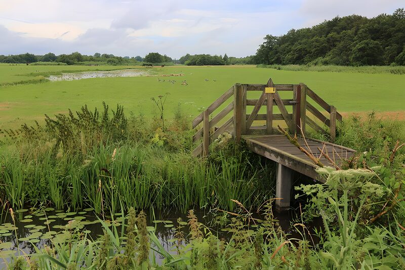 Heuvelachtig landschap met water en bruggetje