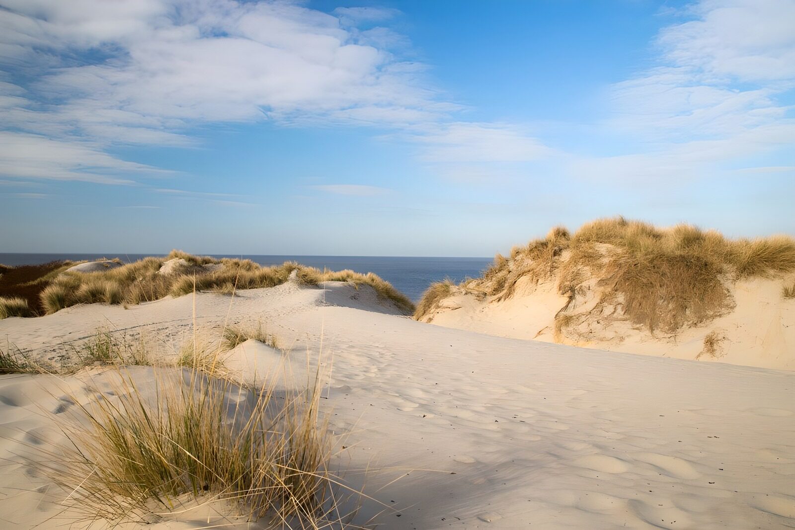 Rustige zandduinen aan de kust