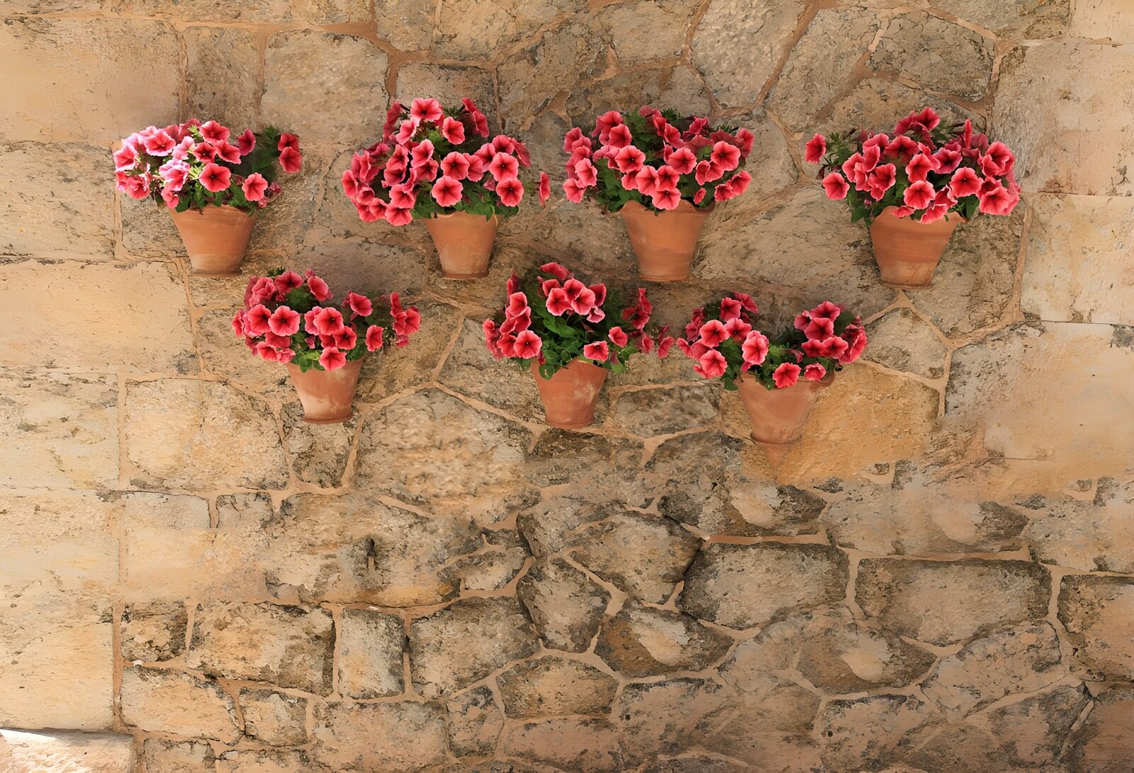 Bloemen aan een stenen muur