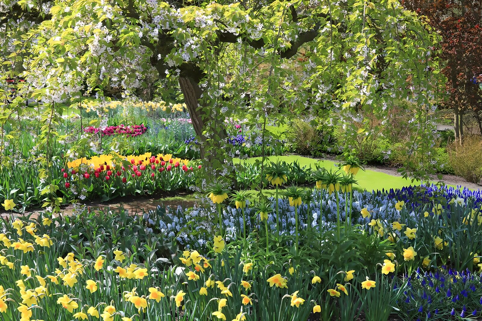 Kleurrijke Lente in de Tuin