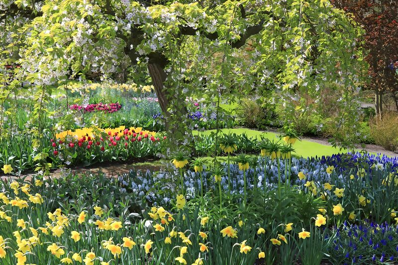 Kleurrijke Lente in de Tuin