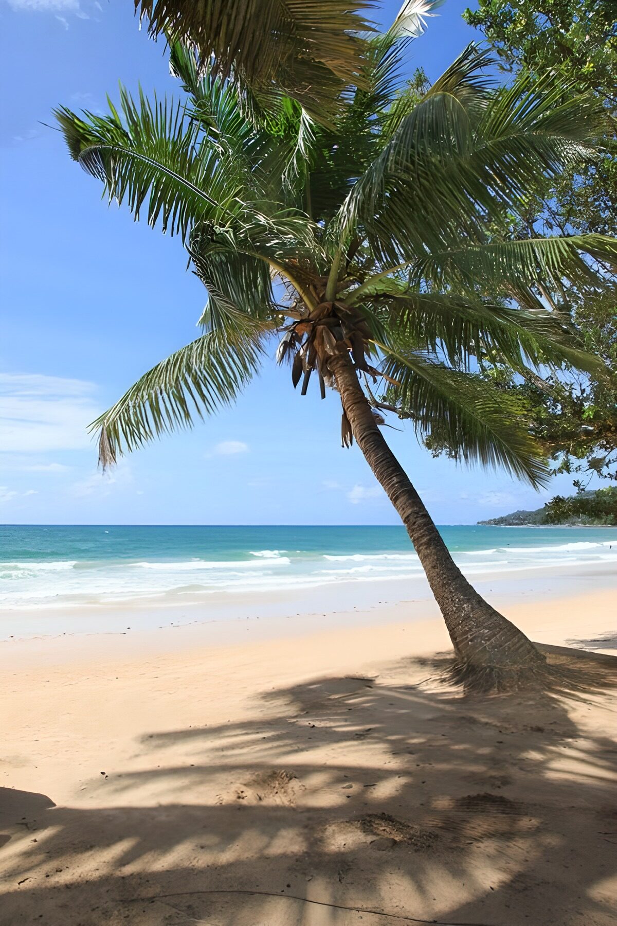 Ontspanning aan het strand onder palmbomen