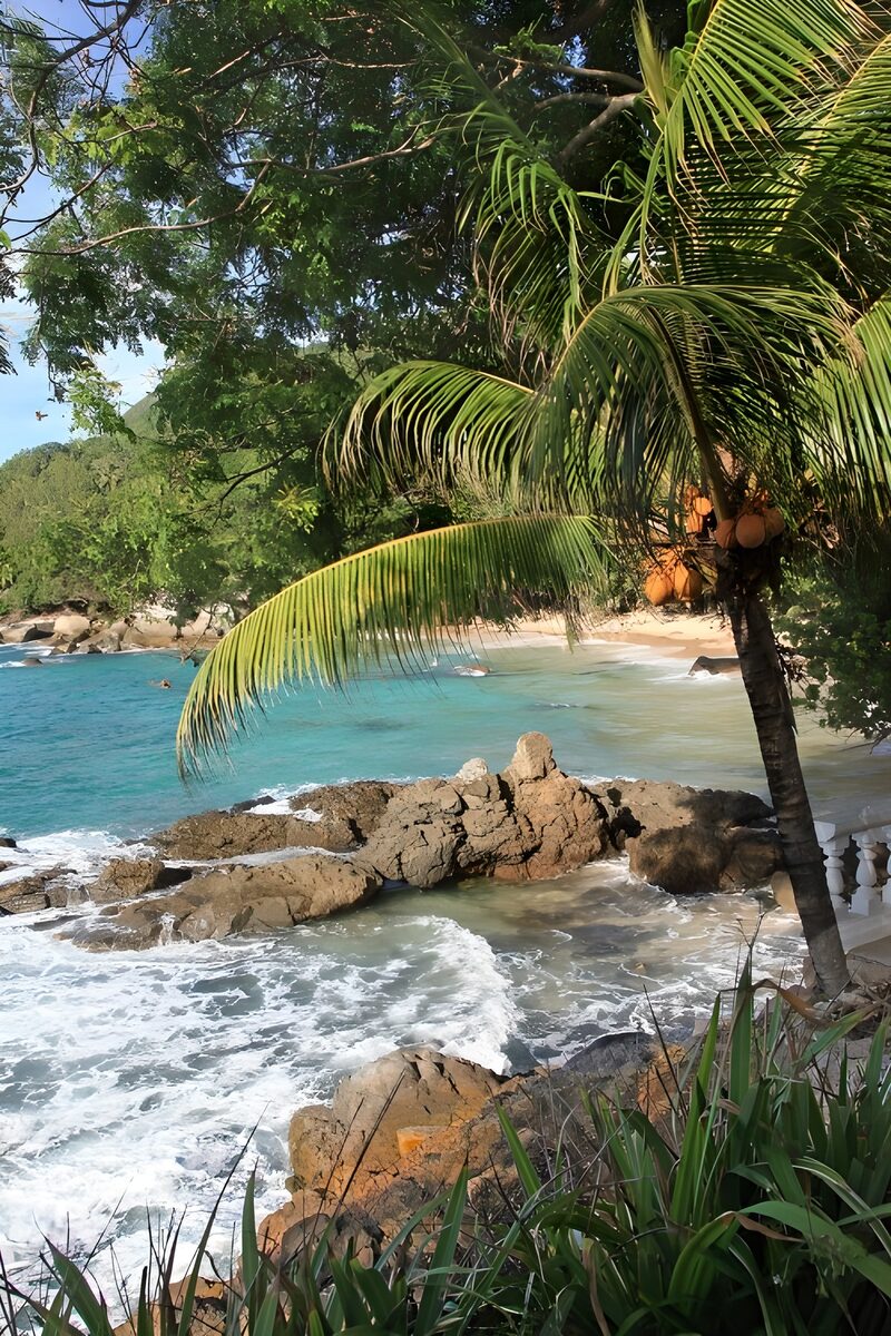 Tropisch strand met palmbomen