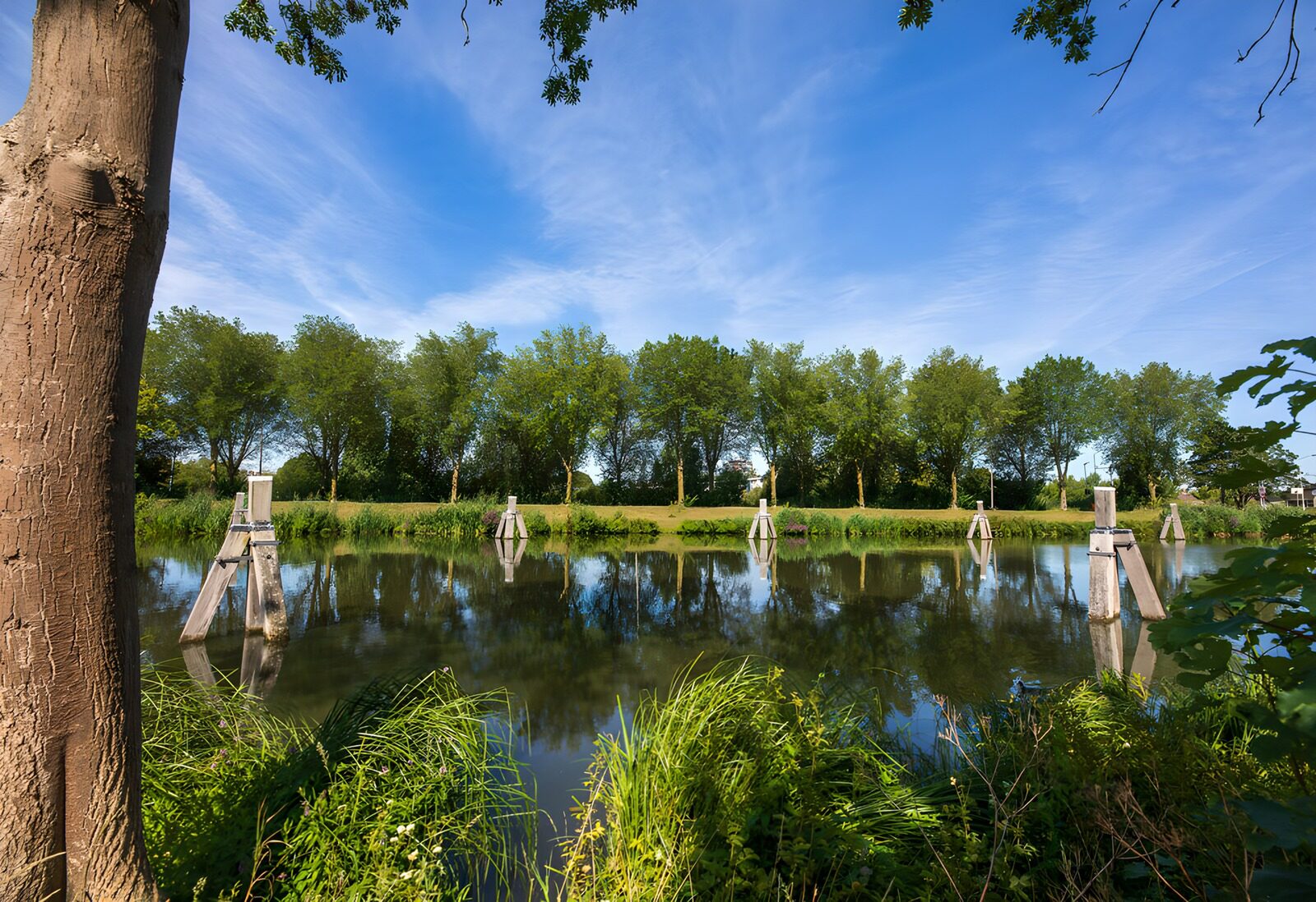 Rustig waterlandschap met bomen