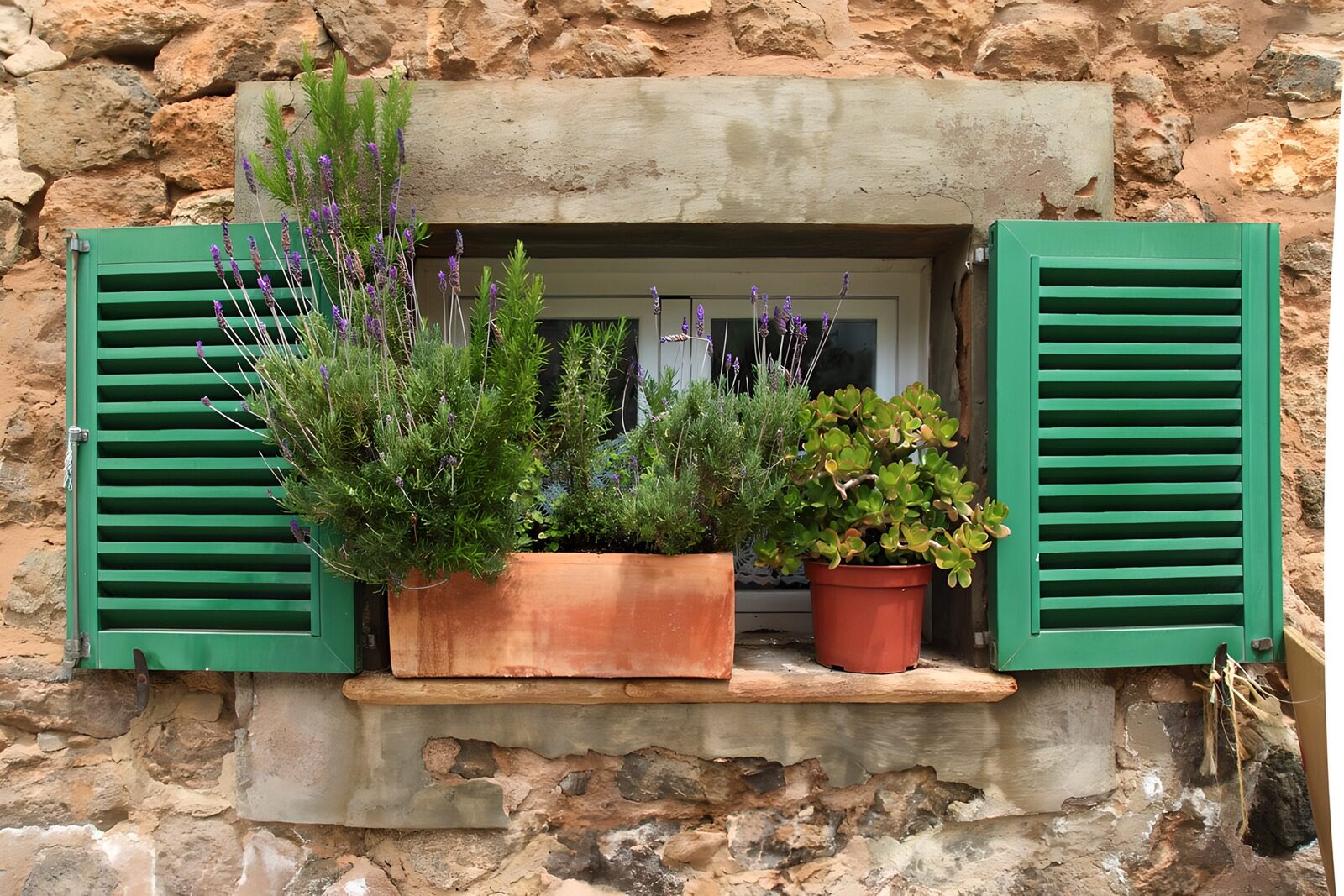 Groene Luiken met Bloeiende Planten